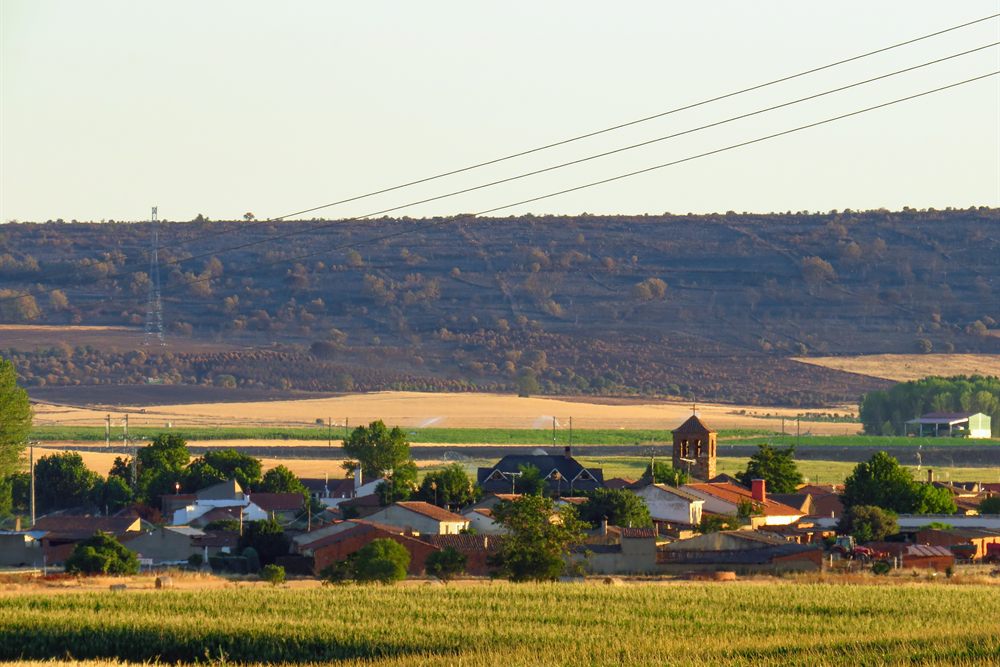Moreruela de Tábara entre campos de cereal, con la loma del término al fondo.
