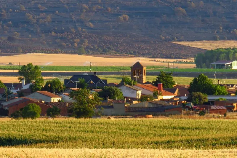 Moreruela de Tábara entre campos de cereal al atardecer, con la torre de la iglesia de San Miguel Arcángel sobresaliendo del caserío