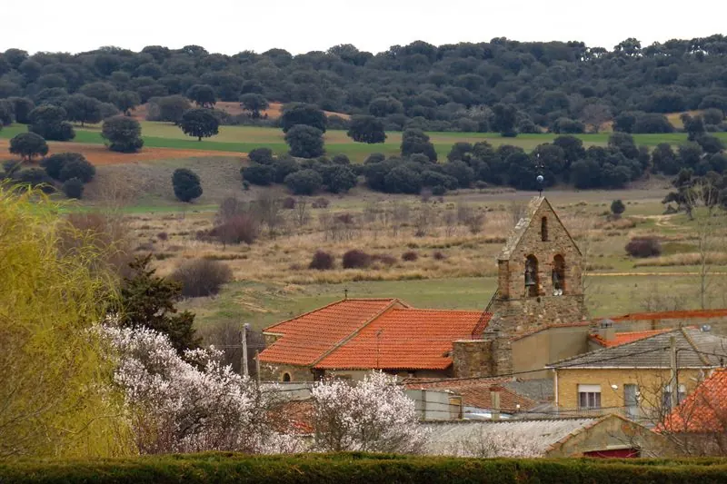 Santa Eulalia de Tábara con la espadaña de la iglesia de Santo Tomás sobre los tejados y el monte de encinas al fondo