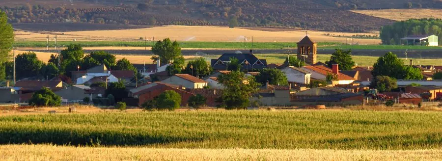 Vista panorámica de Moreruela de Tábara entre campos de cereal, con la torre de la iglesia sobresaliendo del caserío