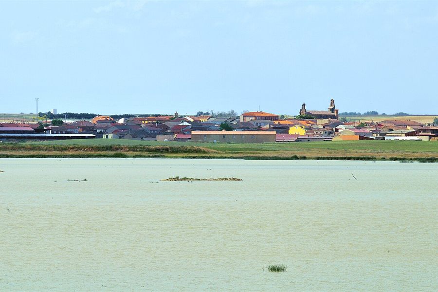 Lámina de agua de una laguna de Villafáfila, con el pueblo al fondo